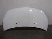 Motorhaube Citroen C3 II (SC) 7901R1