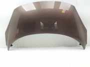 Motorhaube Renault Scenic III (JZ) 651000036R