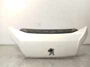 Motorhaube Peugeot Boxer Kasten () 1686620980