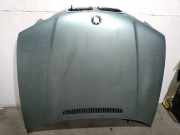 Motorhaube Sonstiger Hersteller Sonstiges Modell () 41617016417