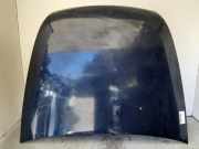 Motorhaube Peugeot 607 () 7901L2