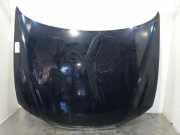 Motorhaube Hyundai Sonata V (NF) 664003K010