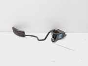 Pedalwerk Renault Clio III (BR0/1, CR0/1) 8200297342