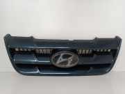 Kühlergrill Hyundai Matrix (FC) 8636717000 : 8636117010