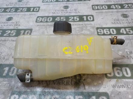 Wasserkasten für Kühler Renault Clio III (BR0/1, CR0/1)