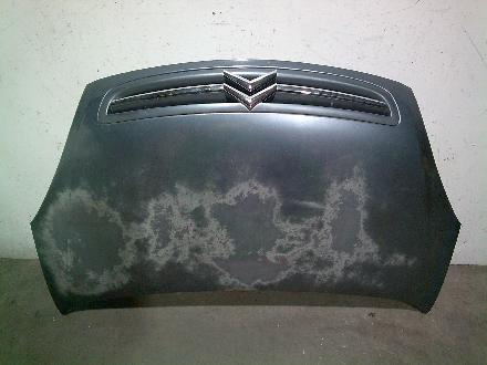 Motorhaube Citroen Xsara Picasso (N68) 7901L0