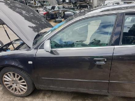 Tür links vorne Audi A4 Avant (8E, B7)