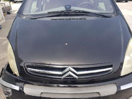 Motorhaube Citroen Xsara Picasso (N68) 7901L0