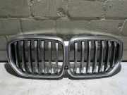Kühlergrill BMW X 5 G05 21454110