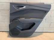 Türverkleidung Rechts Hinten Audi Q 4 FZ 89A867308CFH4