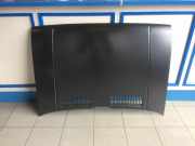 Motorhaube Seat Ibiza 021 A SE021559004A