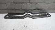 Zierleiste K�hlergrill Citroen DS4 9688184677