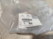 Sicherheitsgurt hinten seitlich Citroen Xsara C 8973RZ