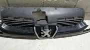 Kühlergrill Peugeot 206 2KFX/2NFZ/ 9628934280