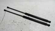 Satz Gasdruckdämpfer Heckklappe Peugeot 206 2KFX/2NFZ/ 8731E6
