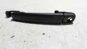 Türaussengriff Liinks Vorne Citroen C 3 F / H 9101W3