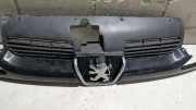K�hlergrill Peugeot 206 2KFX/2NFZ/ 9628934280