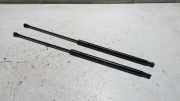 Satz Gasdruckd�mpfer Heckscheibe Citroen C 4 U 8731N8