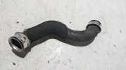 K�hlerschlauch unten Mercedes-benz E-klasse 212 2125018282