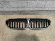 Kühlergrill BMW 3er G20 / G21 511319297610