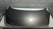 Motorhaube Renault Scenic JZ