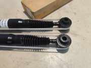 Stoßdämpfer Satz Hinten Peugeot 5008 0 1612557480