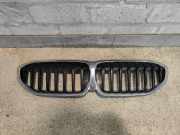 Kühlergrill BMW 3er G20 / G21 511319297610