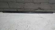 Schachtleiste T�r Links Hinten Citroen C 4 3 9677094780