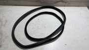 T�rdichtung Links Vorne Peugeot 407 6RFN/66FY/66FZ/6RFJ/63FZ/63FY/6XFV/69HZ/ 9023RE