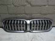 Kühlergrill BMW 3er G20/G21/G8 51115A1BFA9