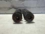 Hinterfeder Satz VW Passat 36