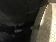 Stoßstange Vorne VW Golf Au/auv 5G0807221FL