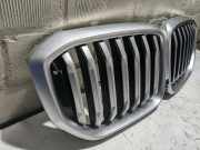 Kühlergrill BMW X 5 G05 21454110