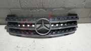 K�hlergrill Mercedes-benz M-klasse 164 A1648800885