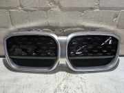 Kühlergrill BMW iX3 G08 51119881798