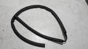 T�rdichtung Rechts Hinten Unten Citroen C 4 U 9023ZX