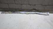 Schachtleiste aussen T�r Rechts Vorne Citroen C 4 U 9677094680