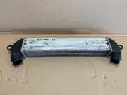 Ladeluftkühler Fiat Doblo 223 /223 L 46849068