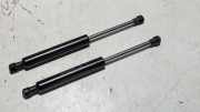 Satz Gasdruckd�mpfer Heckscheibe Citroen C 3 F / H 8731H2