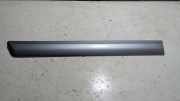 Sto�leiste T�r Rechts Hinten Mercedes-benz E-klasse 210 2106900862