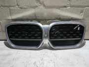 Kühlergrill BMW iX3 G08 51119881798