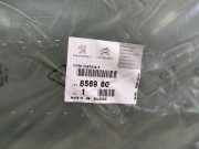 Seitenscheibe Rechts Hinten Peugeot 106 1C/1A 856960