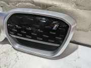 Kühlergrill BMW iX3 G08 51119881798
