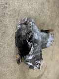 Schaltgetriebe VW Golf 1HXO/1HX1/1EXO