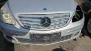 K�hlergrill Mercedes-benz B-klasse 245