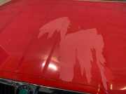 Motorhaube Skoda Octavia 1U