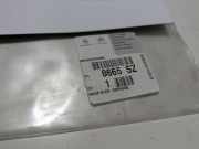 Emblem Heckklappe Links Citroen Jumpy G9 8665SZ