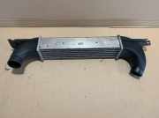 Ladeluftkühler Opel Omega B 52482359