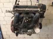 Motor Ford Focus DBW/DAW/DFW/DNW/DB1/DA1