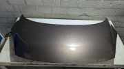 Motorhaube Renault Scenic JZ